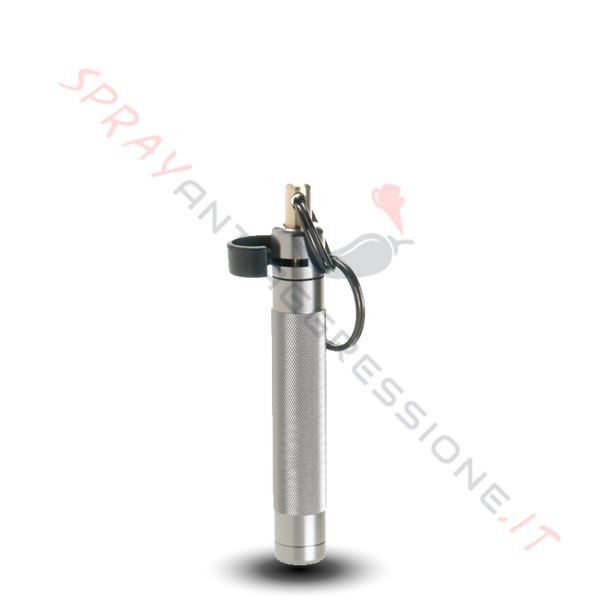 Immagine di Spray al peperoncino ASP Palm Defender Silver/Grigio
